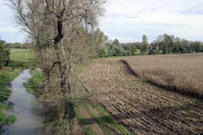 Prairies et ruisseaux