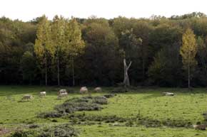 Vallée de la Belaine
