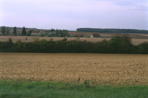 Champagne berrichonne  Feux