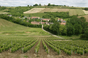 Vigne et village