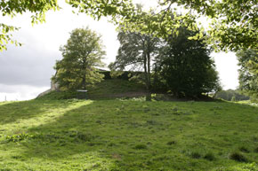 Vue d'ensemble de la motte, prise du nord-est