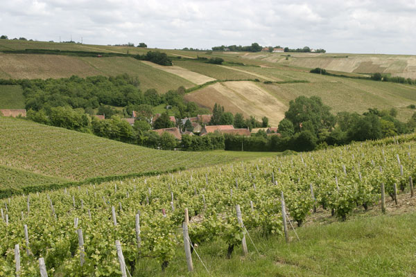 Vallée