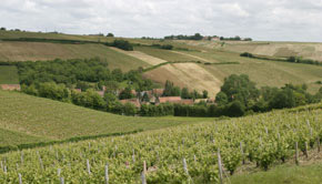 Paysage